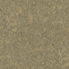 Fossilized Earth (DB 73728)