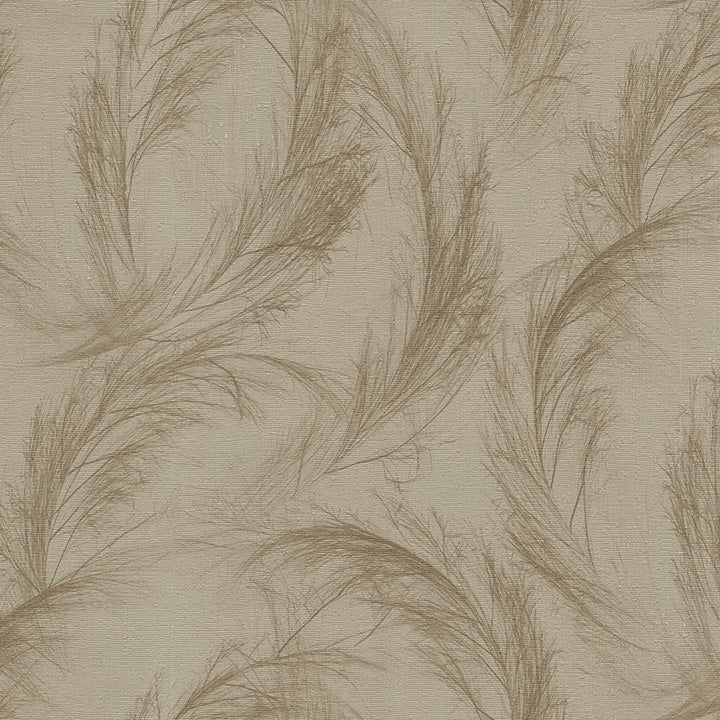 fossilized ferns (db 73753)