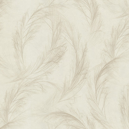 White Pampas Grass (DB 73755)