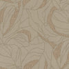 Brown Veins (DB 73775)