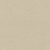 Grainy Canvas (DB 73782)