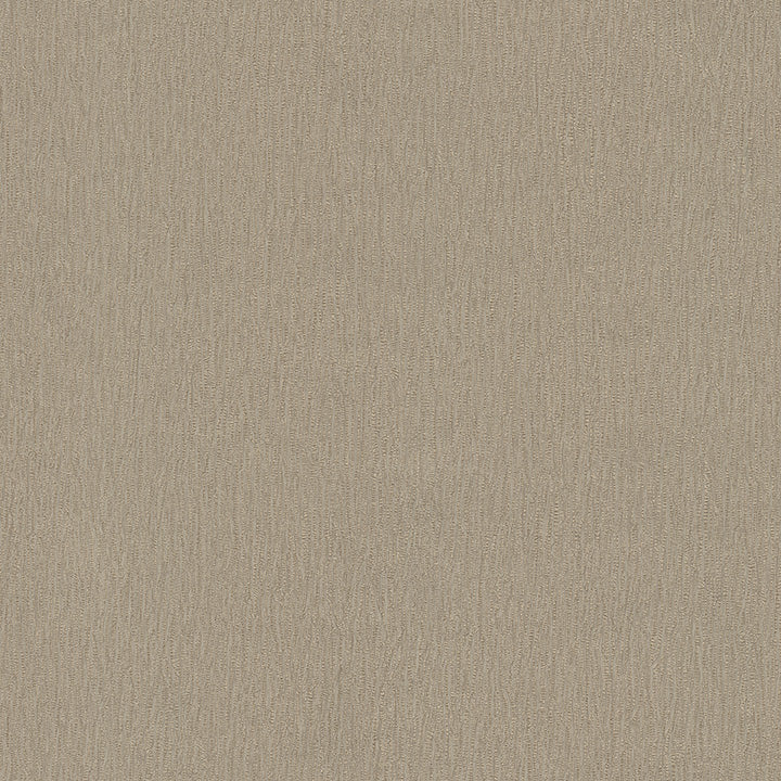 sandy canvas (db 73785)