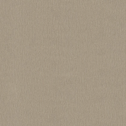 Sandy Canvas (DB 73785)