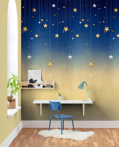 stary Night (FIP 290)