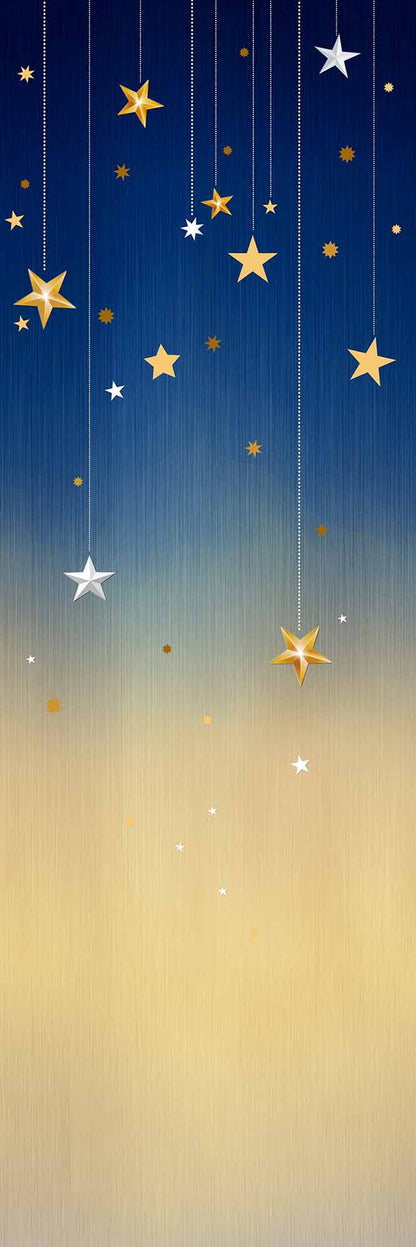 stary Night (FIP 290)