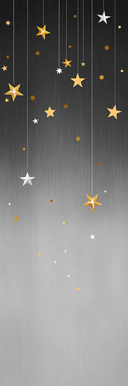 stary Night (FIP 291)