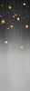 stary Night (FIP 291)
