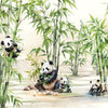 Panda Paradise (FNZ 315)