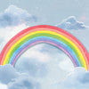 Rainbow in the Clouds (FNZ 323)