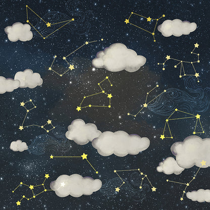 Twinkle Twinkle (FNZ 333)