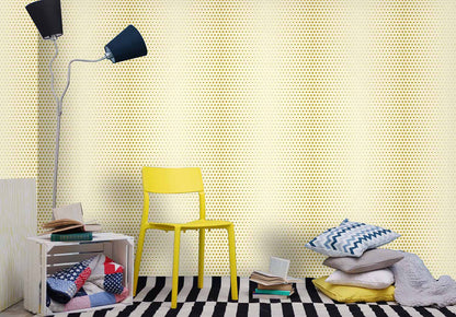 Dotty Fun (FUN 161)