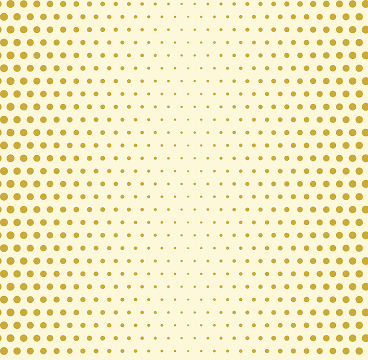 dotty fun (fun 161)