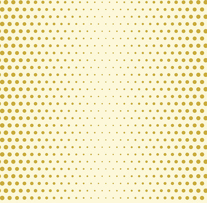 Dotty Fun (FUN 161)
