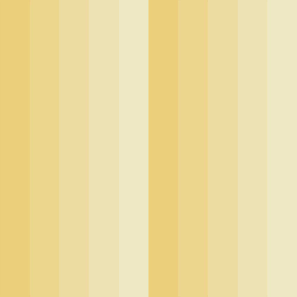 tone stripes (fun 171)
