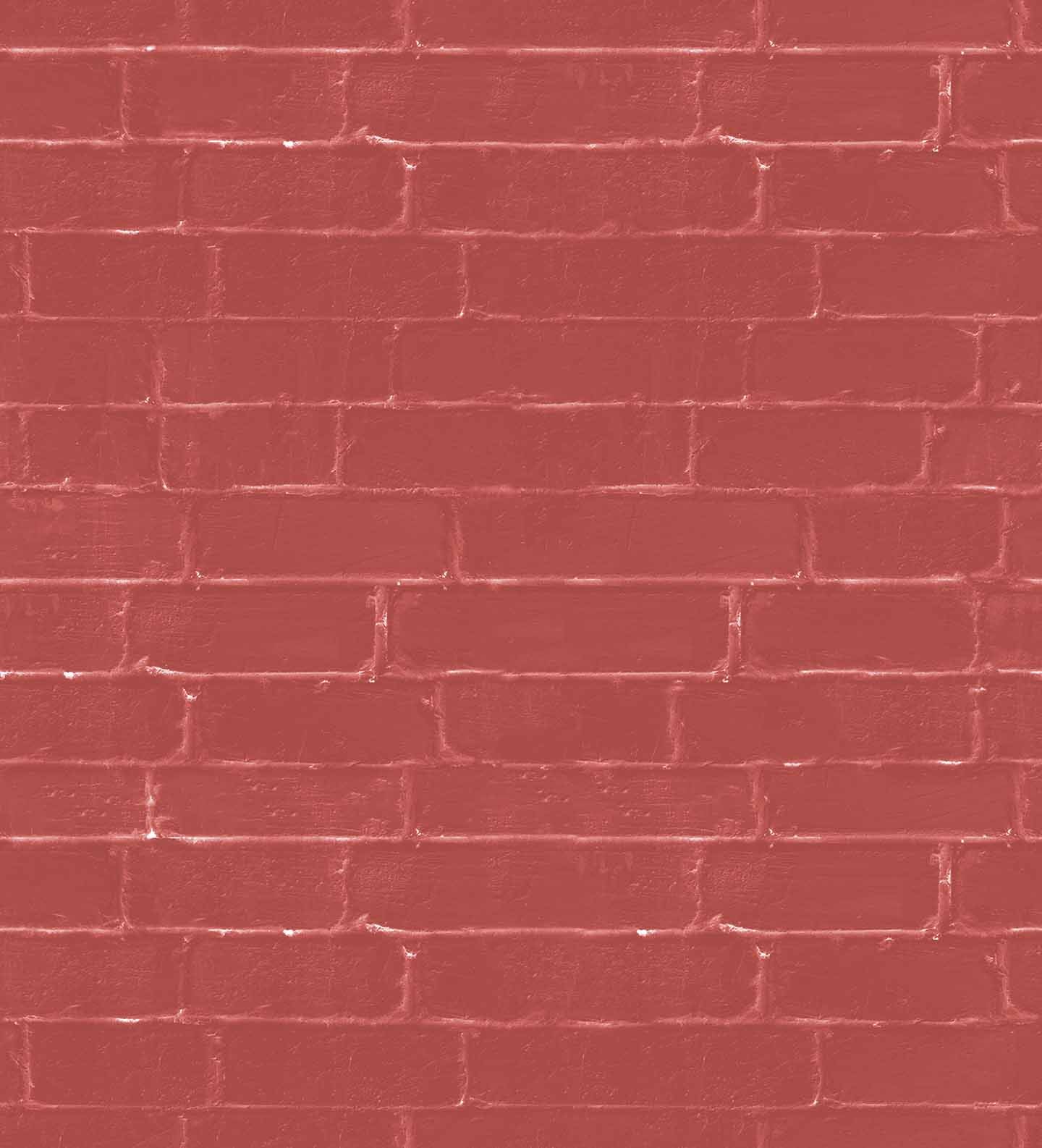brick wall (fun 221)