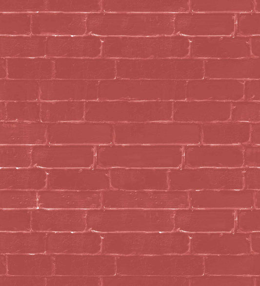 Brick Wall (FUN 221)