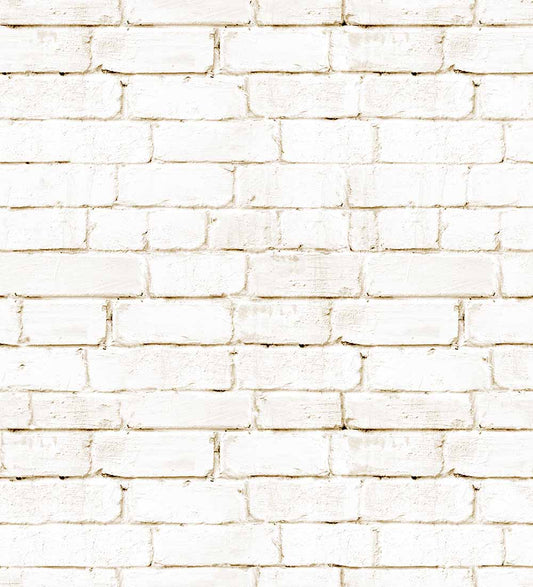 Brick Wall (FUN 222)