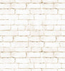 Brick Wall (FUN 222)