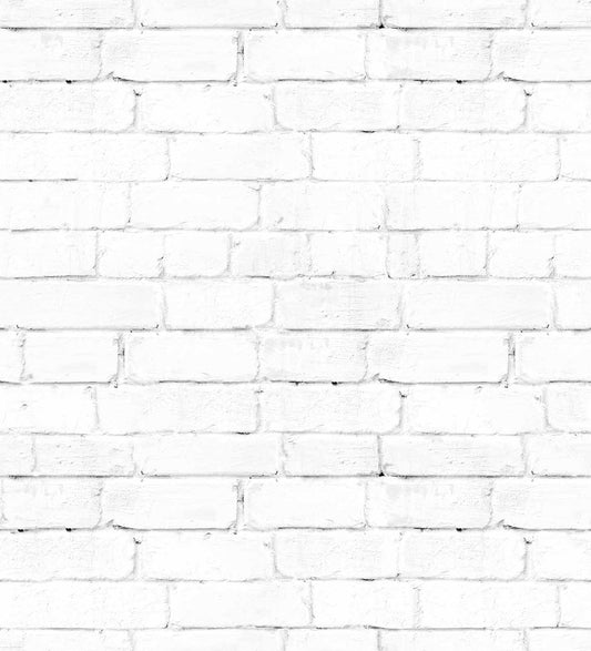 Brick Wall (FUN 224)