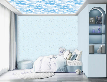 Twinkling Stars (FUN 245)
