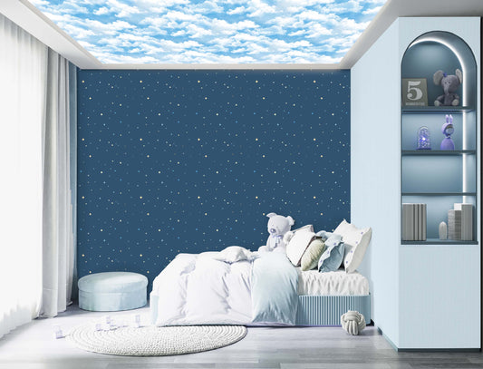 Twinkling Stars (FUN 246)
