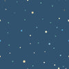 Twinkling Stars (FUN 246)