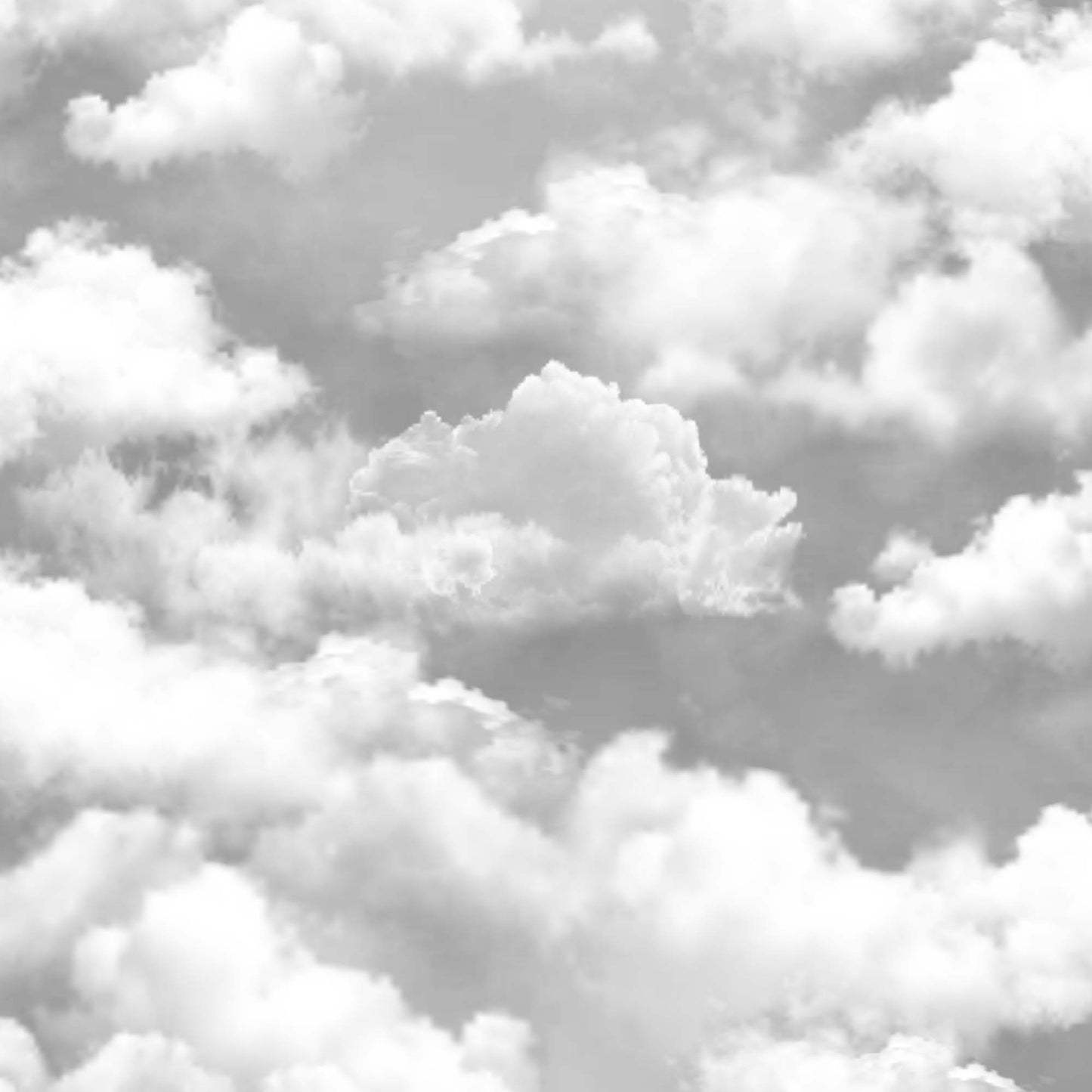 cloud9 (fun 250)