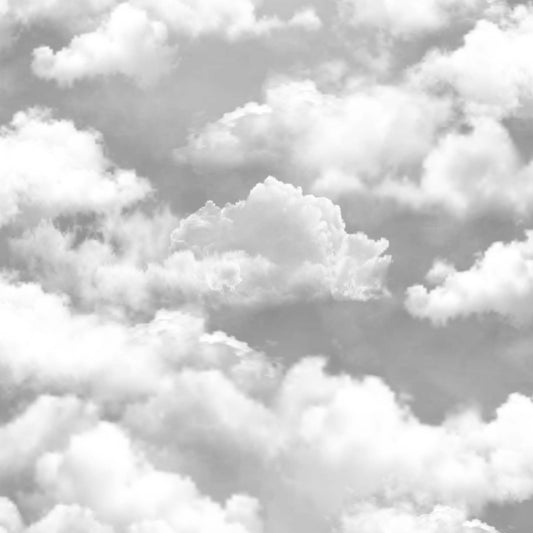 Cloud9 (FUN 250)