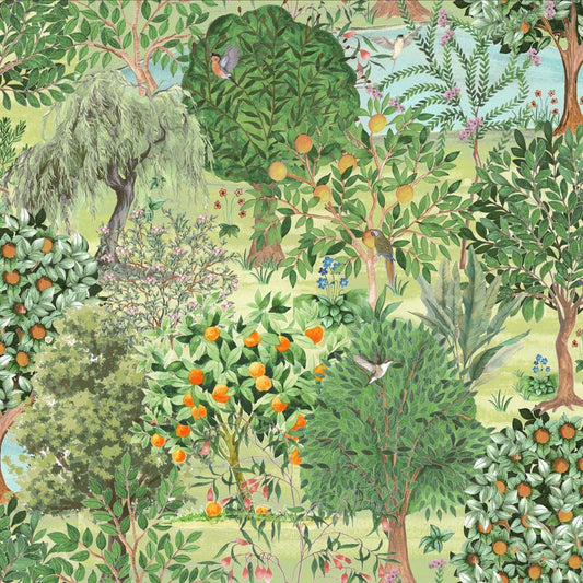 EDEN(Grass Green) (GDR 101)