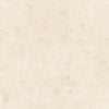 PATINA(Light Beige) (GDR 129)