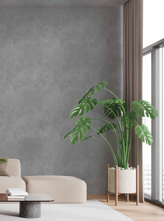 PATINA(Cloud Silver) (GDR 163)