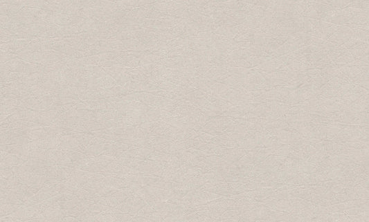 Warm Burlap (HY 1110)