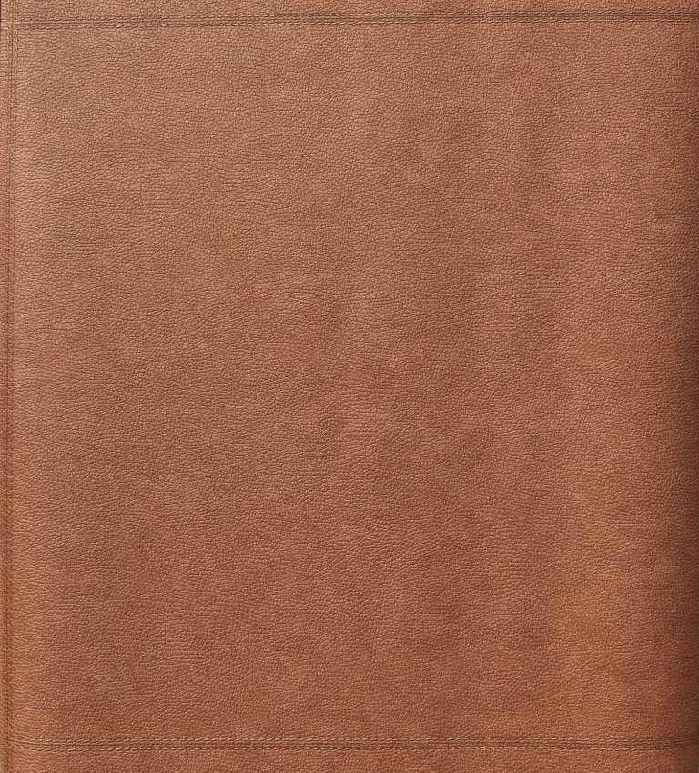 sale(im 64209)