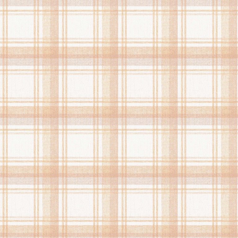 checkered delight (ins 105)