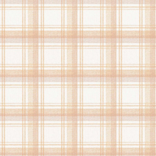 Checkered Delight (INS 105)