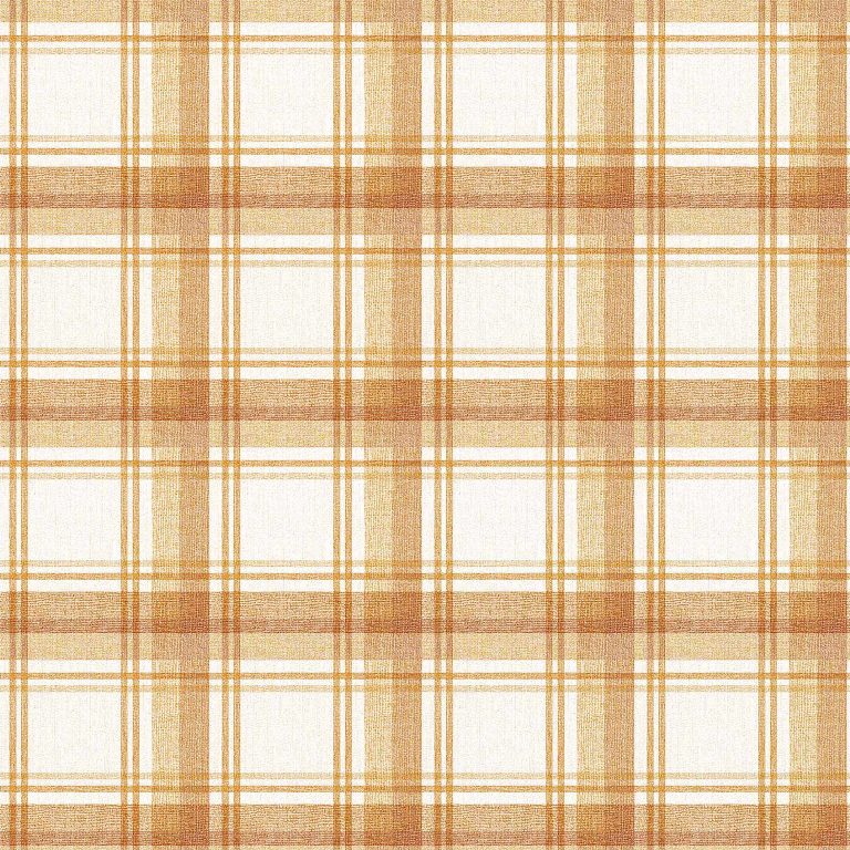 checkered delight (ins 106)