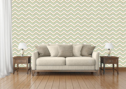 Zigzag (INS 113)