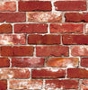 Brick by Brick (INS 166)