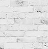 Brick by Brick (INS 168)