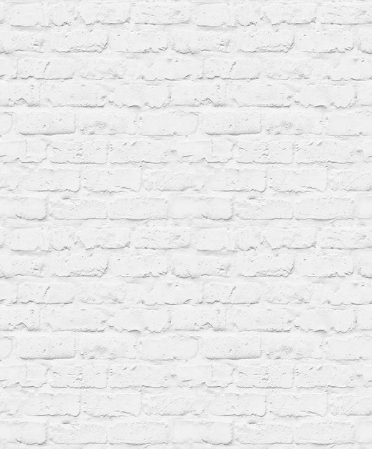 Brick-tacular (INS 169)