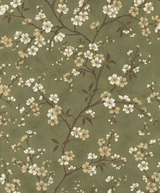 Cherry Blossom (INS 213)