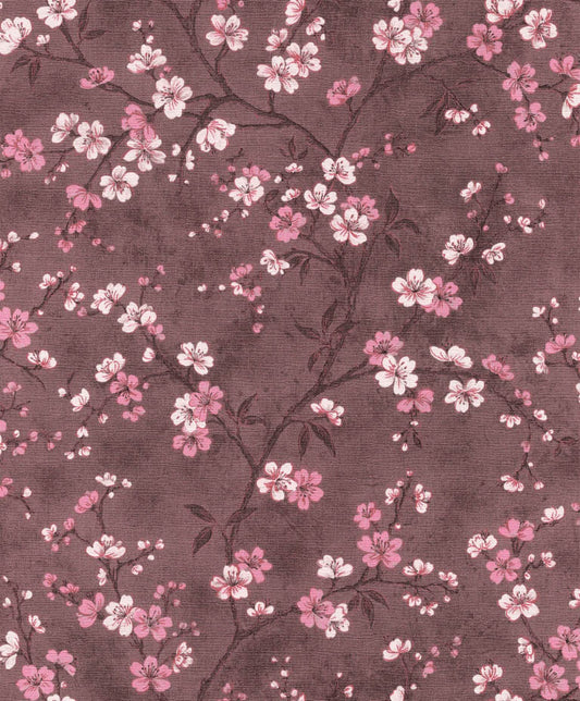 Cherry Blossom (INS 214)