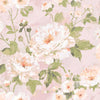 Peonies (INS 222)
