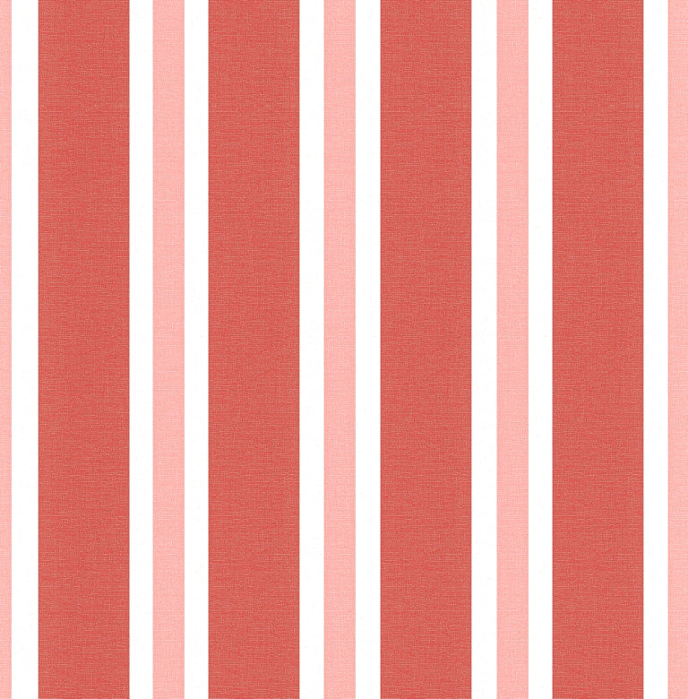 zebra stripes (ins 260)
