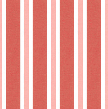 Zebra Stripes (INS 260)