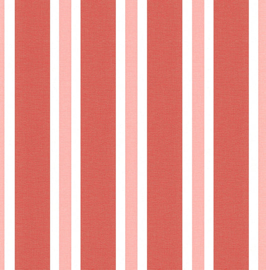 Zebra Stripes (INS 260)