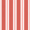 Zebra Stripes (INS 260)