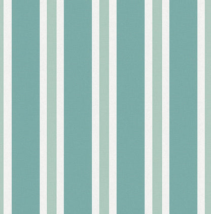 Zebra Stripes (INS 270)