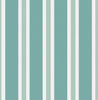 Zebra Stripes (INS 270)