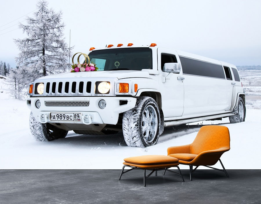 luxury winter limo ( kid 123 )